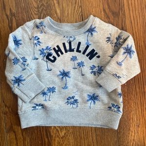 Baby Boy Sweatshirt 9M